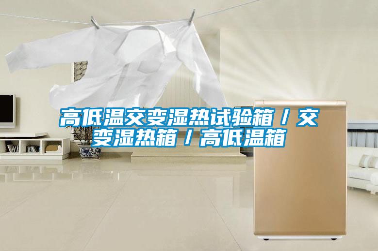 高低溫交變濕熱試驗(yàn)箱/交變濕熱箱/高低溫箱