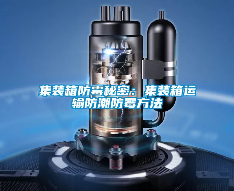 集裝箱防霉秘密:集裝箱運輸防潮防霉方法