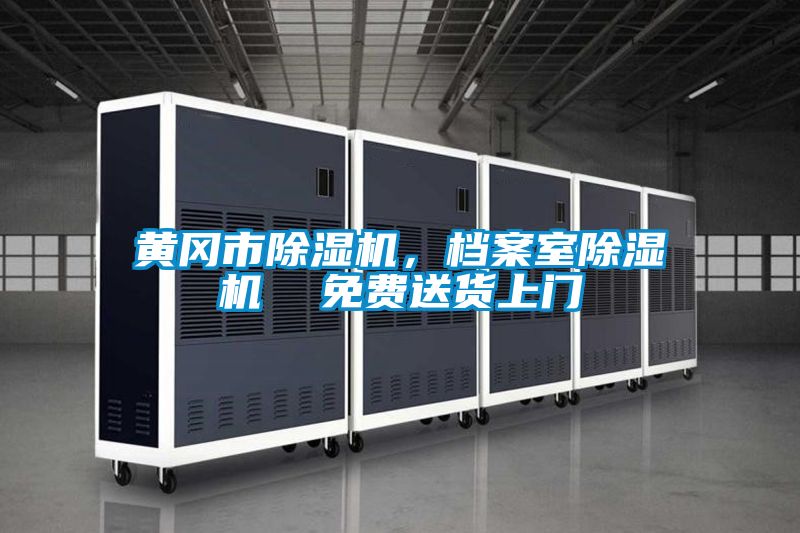 黃岡市除濕機，檔案室除濕機  免費送貨上門
