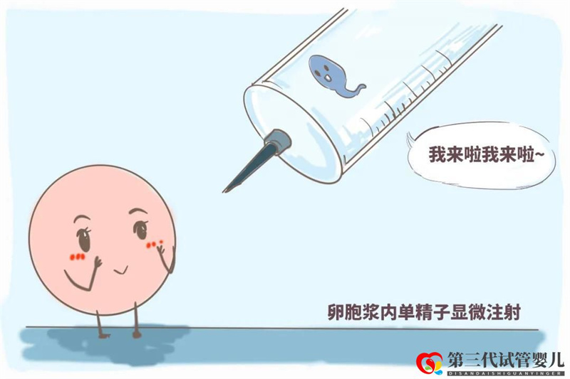 單次做三代試管嬰兒的費用詳解，其流程步驟可分這六步